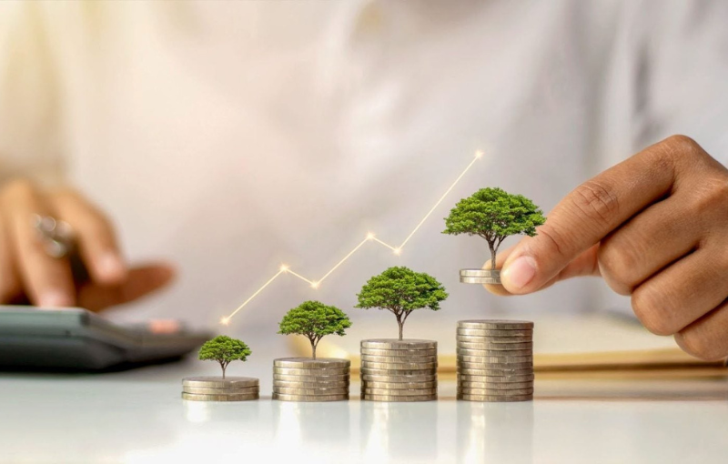 Mutual Fund